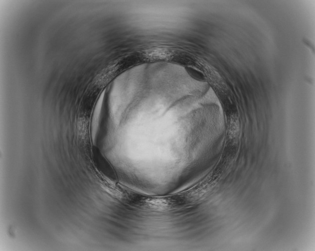 X0000097770409200803281644