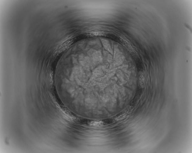 X0000097770410200803281644