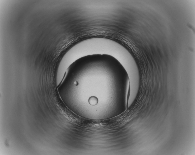 X0000097770411200803281644