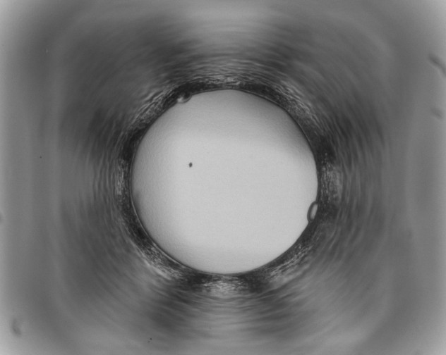 X0000097770412200803281644