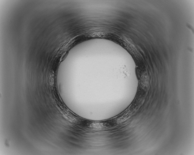 X0000097770413200803281644