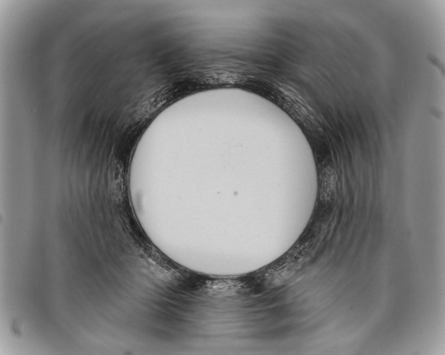 X0000097770414200803281644