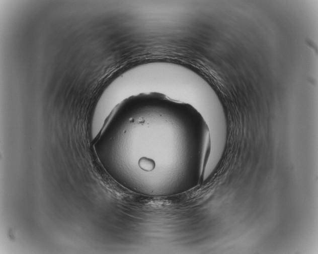 X0000097770415200803281644