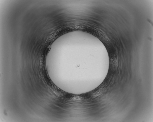 X0000097770416200803281644