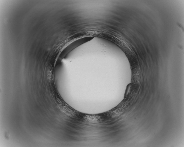 X0000097770417200803281644