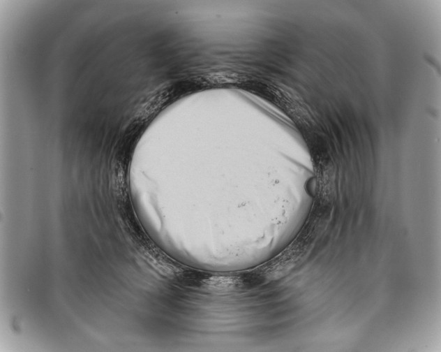 X0000097770418200803281644