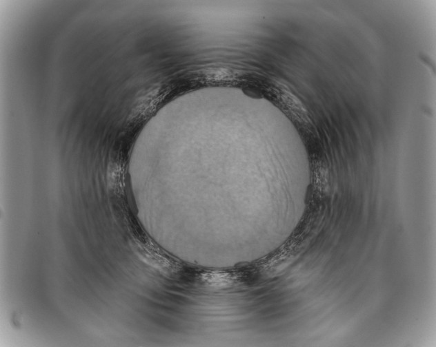 X0000097770419200803281644