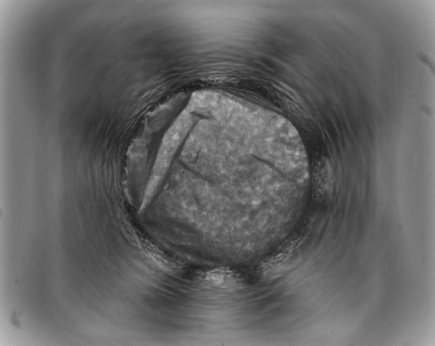 X0000097770420200803281644