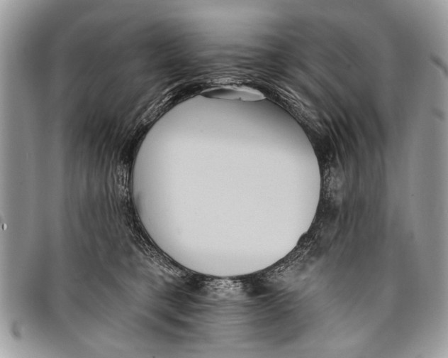 X0000097770421200803281644