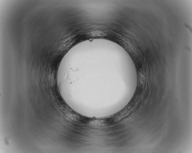 X0000097770422200803281644