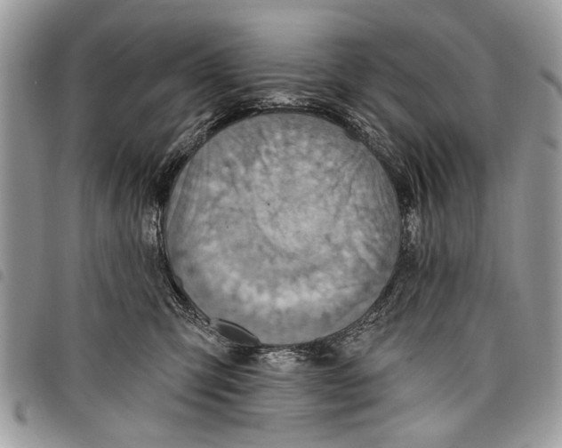 X0000097770423200803281644