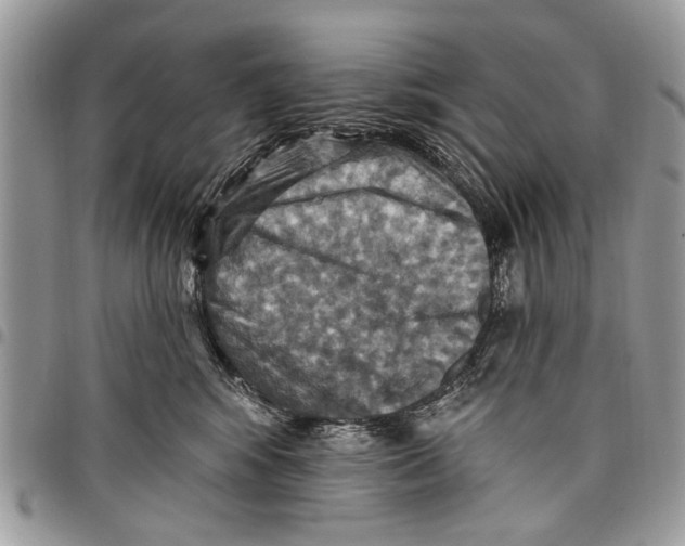 X0000097770424200803281644