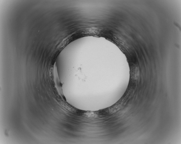 X0000097770425200803281644