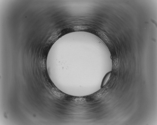 X0000097770426200803281644