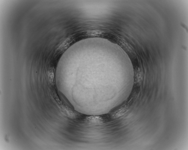 X0000097770427200803281644