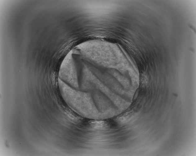 X0000097770428200803281644