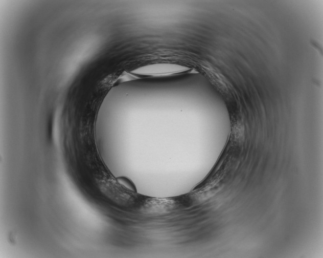 X0000097770429200803281644