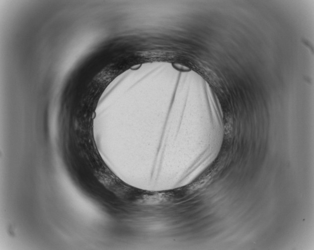 X0000097770430200803281644