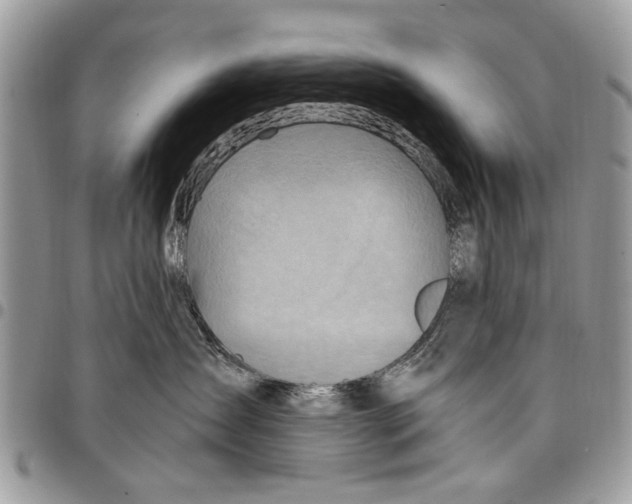 X0000097770431200803281644