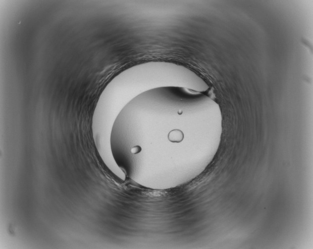 X0000097770432200803281644