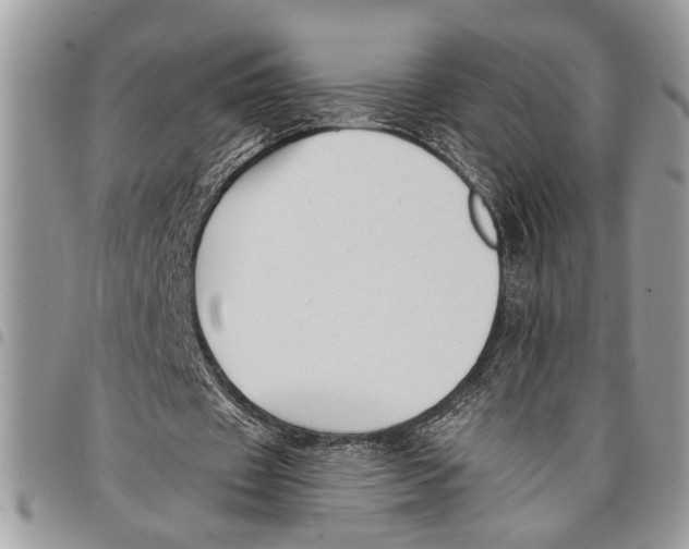 X0000097770433200803281643