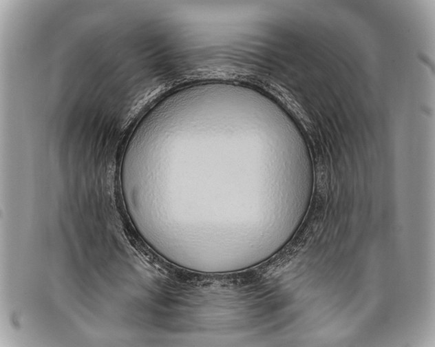 X0000097770434200803281643