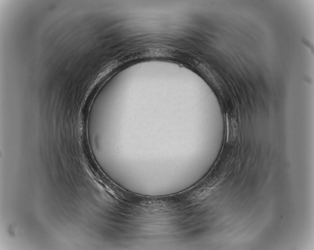 X0000097770435200803281643