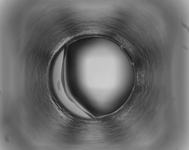 X0000097770436200803281643