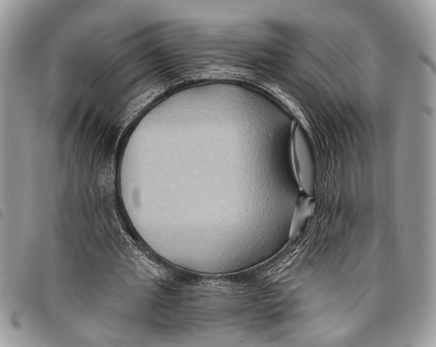 X0000097770437200803281643