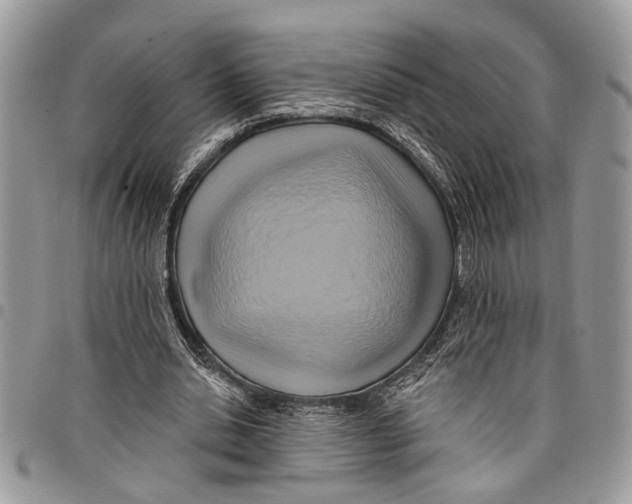 X0000097770438200803281643