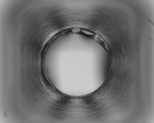 X0000097770440200803281643