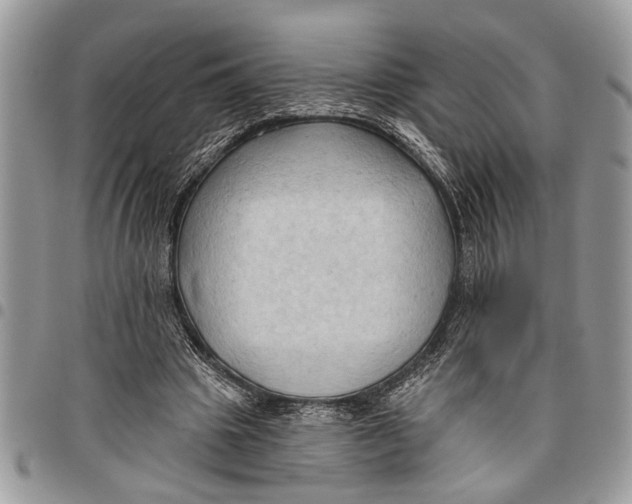 X0000097770441200803281643