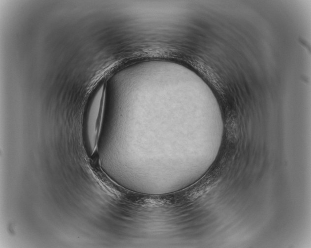 X0000097770442200803281643