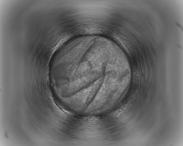 X0000097770443200803281643