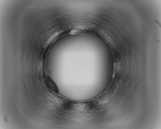 X0000097770444200803281643