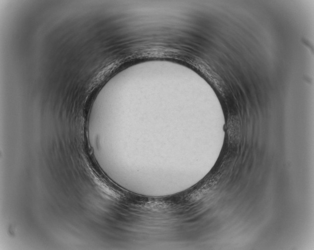 X0000097770445200803281643