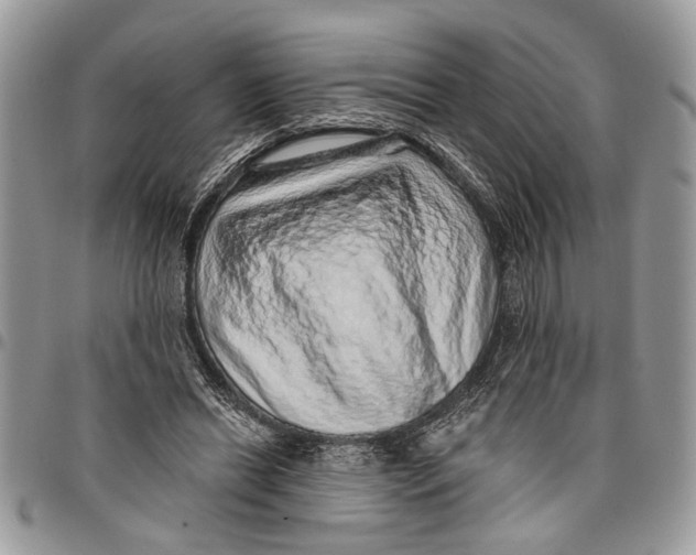 X0000097770446200803281643