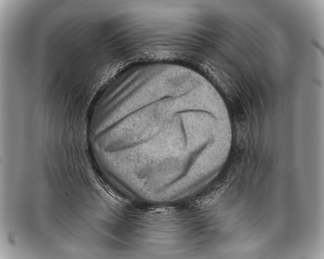 X0000097770447200803281643