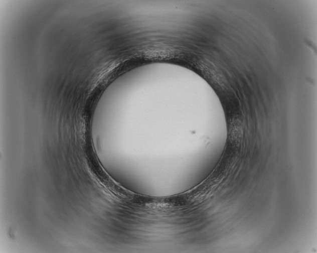 X0000097770448200803281643