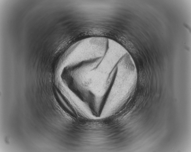 X0000097770449200803281643