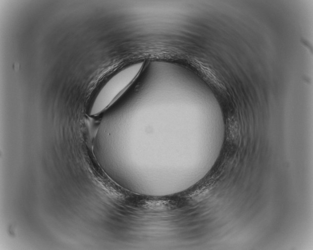 X0000097770450200803281643