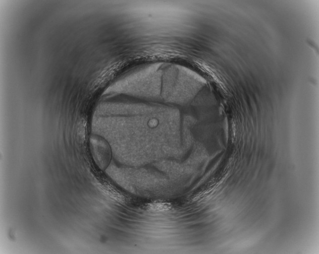 X0000097770451200803281643