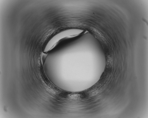 X0000097770452200803281643