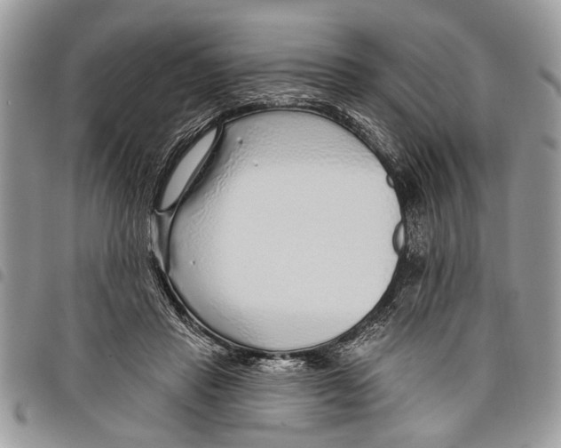 X0000097770453200803281643