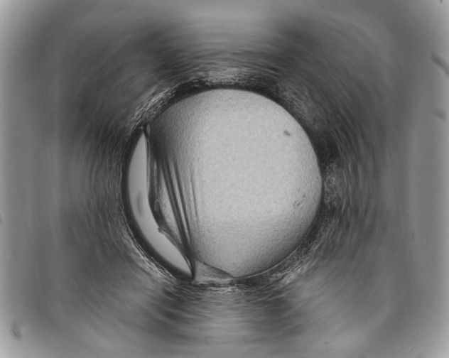 X0000097770454200803281643