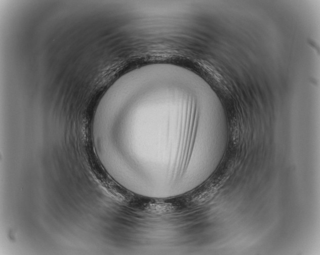 X0000097770455200803281643