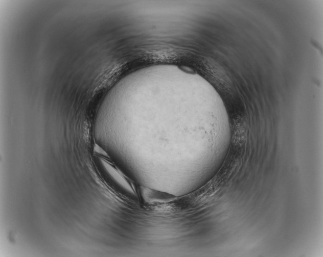 X0000097770456200803281643