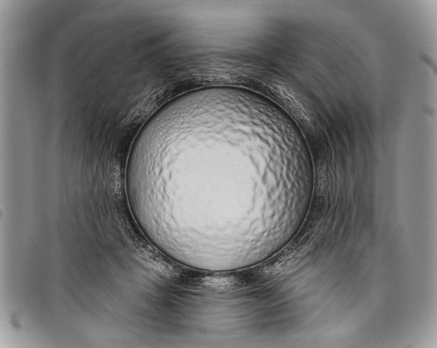 X0000097770457200803281643