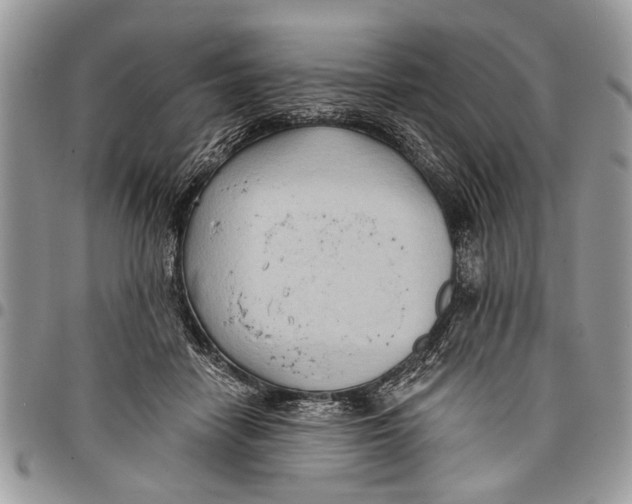 X0000097770458200803281643