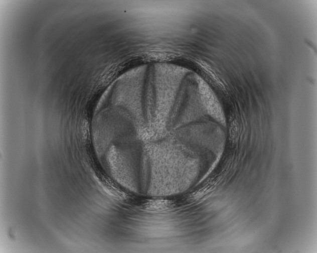 X0000097770459200803281643